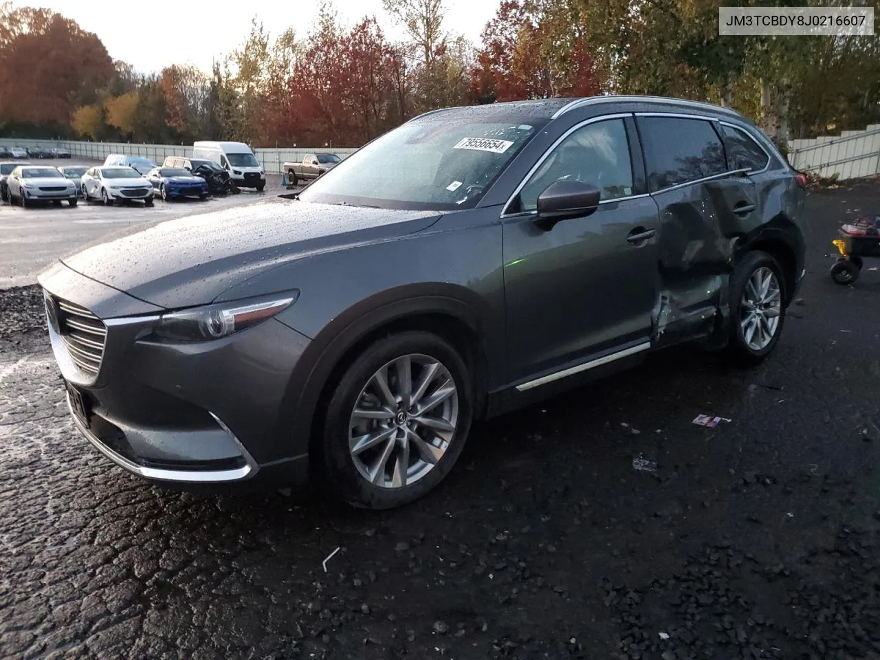 2018 Mazda Cx-9 Grand Touring VIN: JM3TCBDY8J0216607 Lot: 79556654