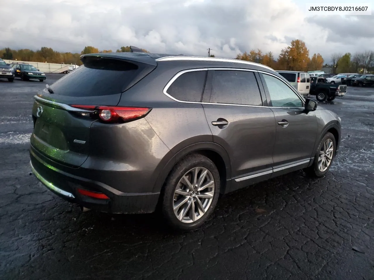 2018 Mazda Cx-9 Grand Touring VIN: JM3TCBDY8J0216607 Lot: 79556654