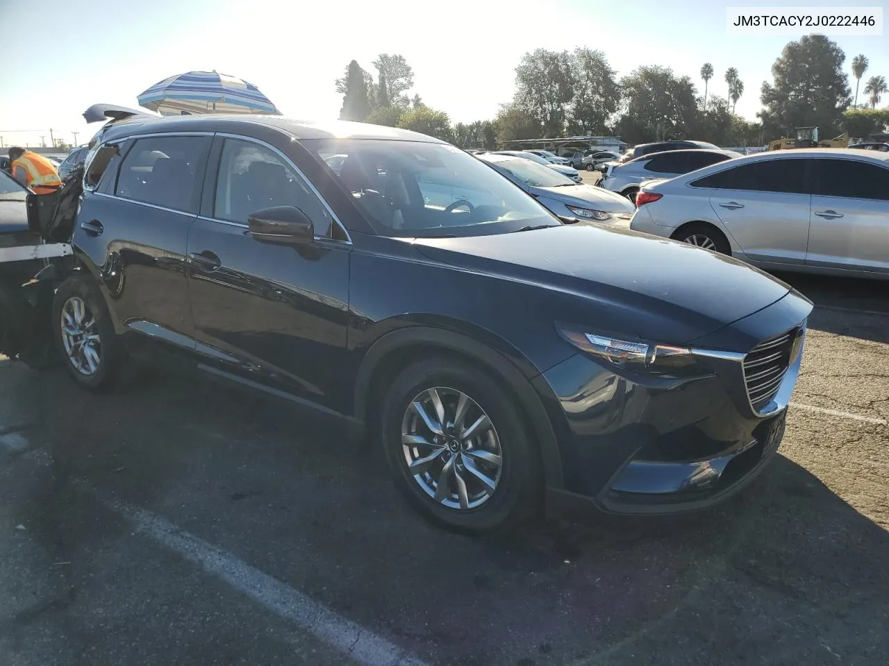 2018 Mazda Cx-9 Touring VIN: JM3TCACY2J0222446 Lot: 80160284