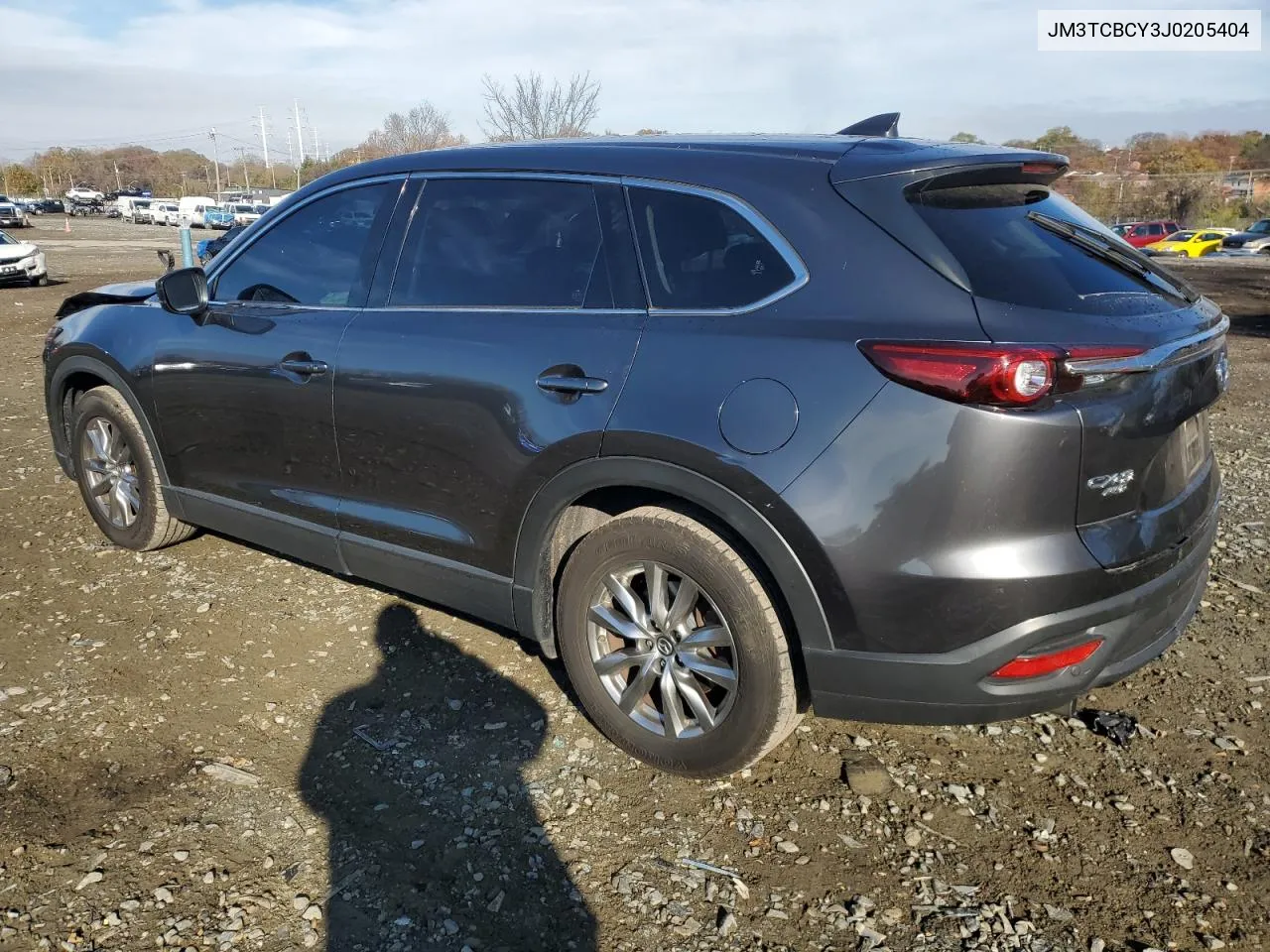 2018 Mazda Cx-9 Touring VIN: JM3TCBCY3J0205404 Lot: 80419174