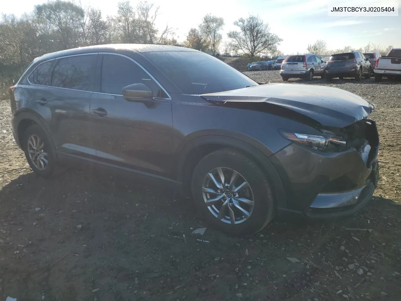 2018 Mazda Cx-9 Touring VIN: JM3TCBCY3J0205404 Lot: 80419174