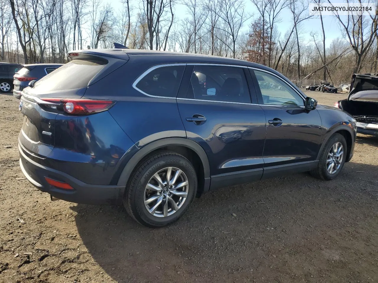 2018 Mazda Cx-9 Touring VIN: JM3TCBCY0J0202184 Lot: 80428714