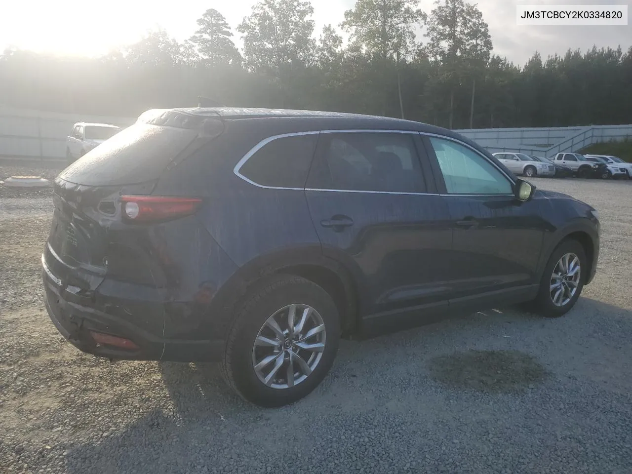 2019 Mazda Cx-9 Touring VIN: JM3TCBCY2K0334820 Lot: 71916494