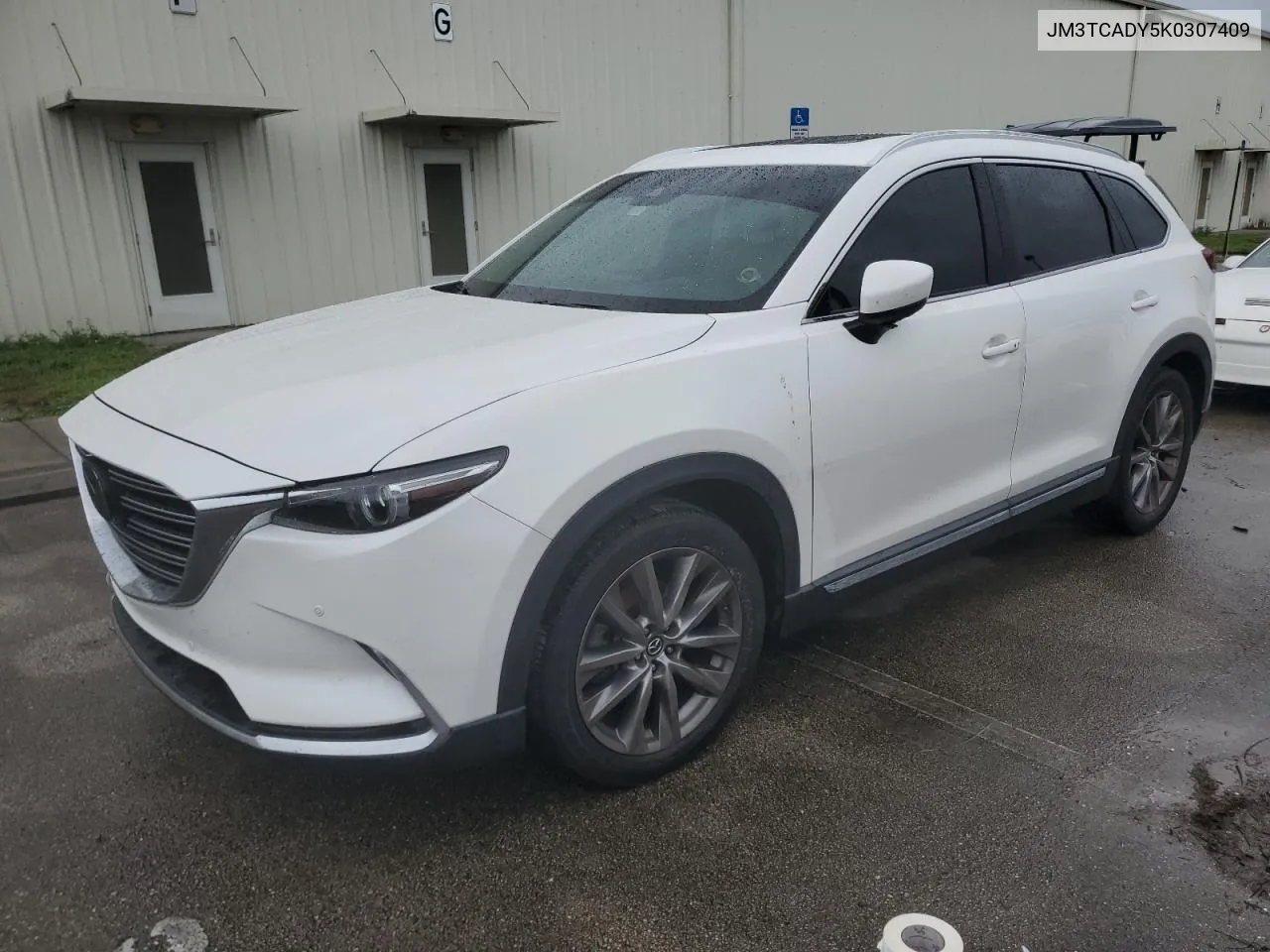 2019 Mazda Cx-9 Grand Touring VIN: JM3TCADY5K0307409 Lot: 74900984