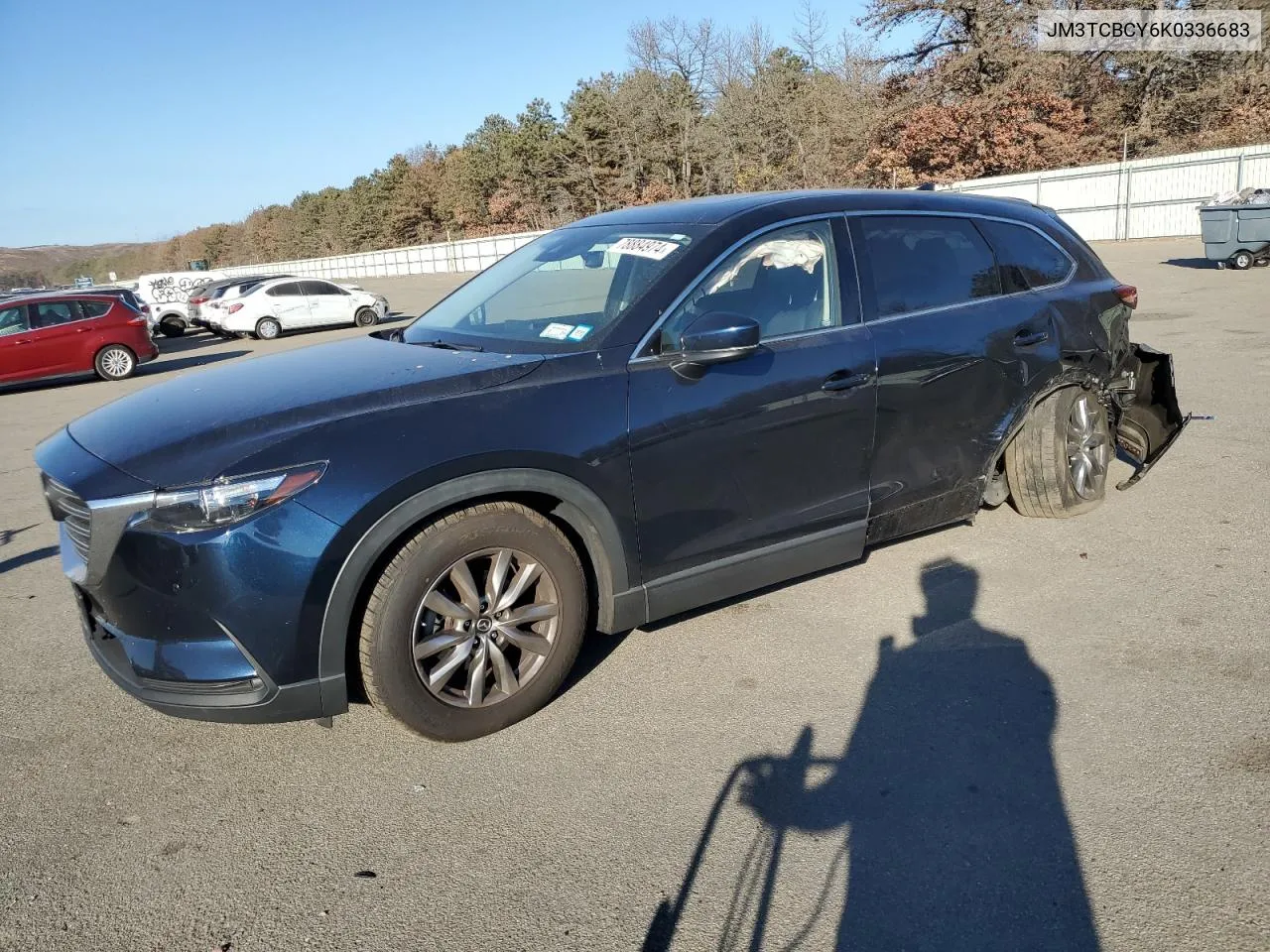 2019 Mazda Cx-9 Touring VIN: JM3TCBCY6K0336683 Lot: 78884974