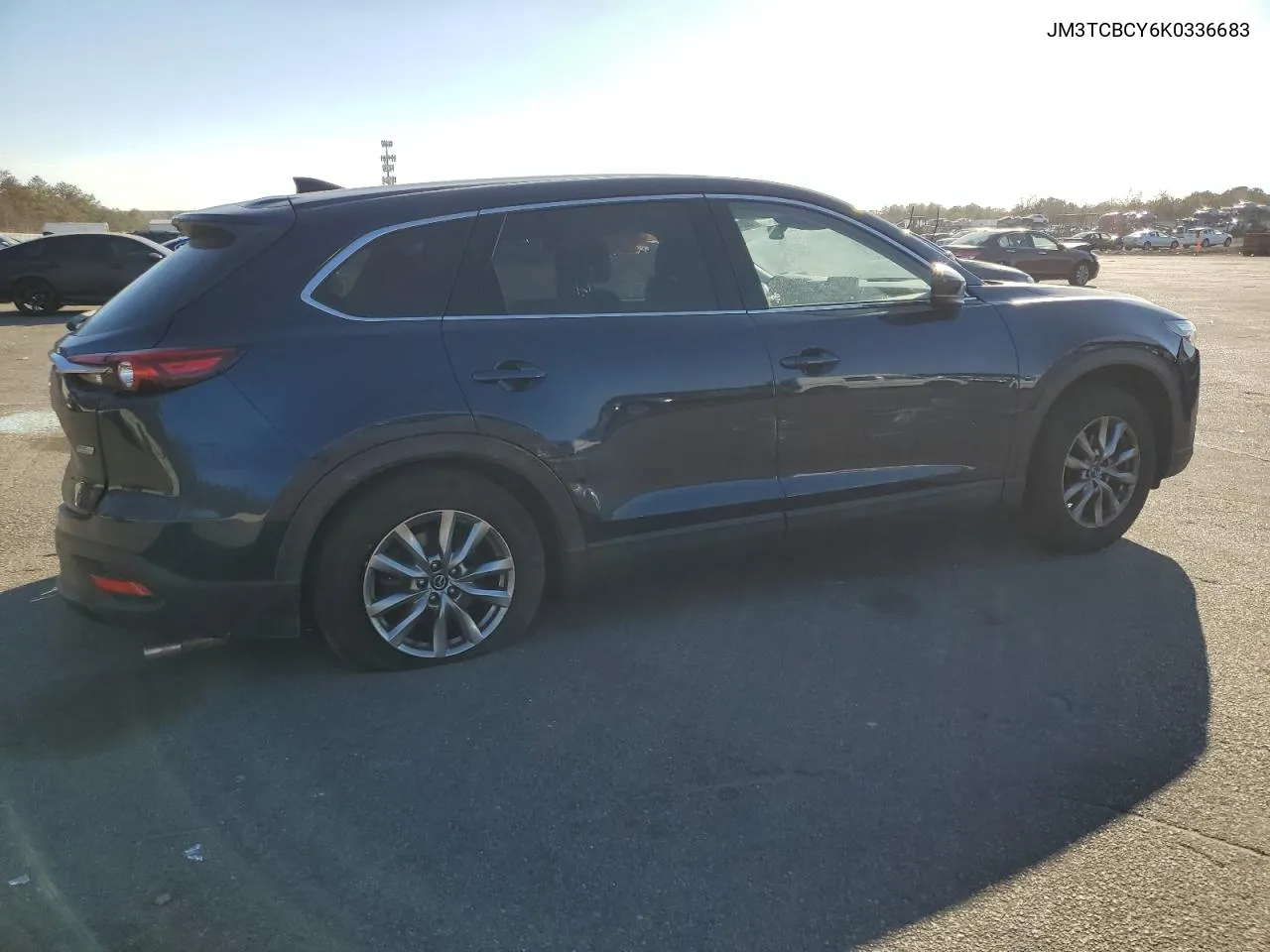 2019 Mazda Cx-9 Touring VIN: JM3TCBCY6K0336683 Lot: 78884974