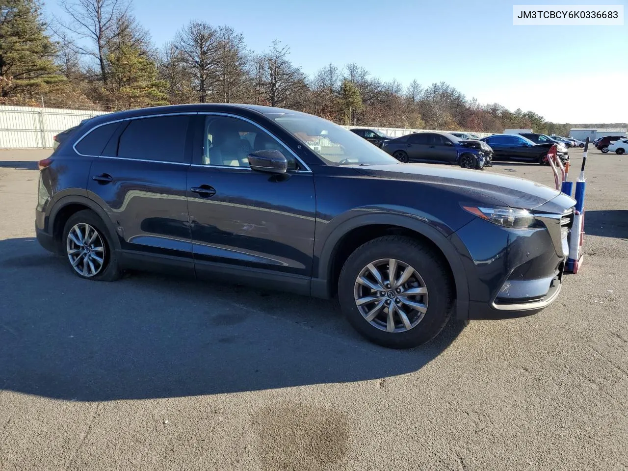 2019 Mazda Cx-9 Touring VIN: JM3TCBCY6K0336683 Lot: 78884974