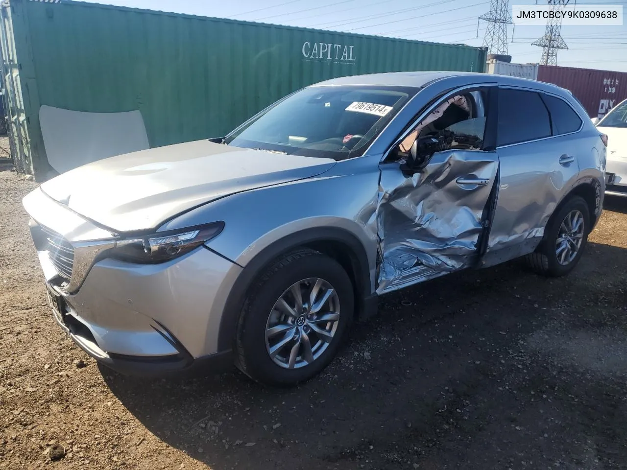 2019 Mazda Cx-9 Touring VIN: JM3TCBCY9K0309638 Lot: 79619514