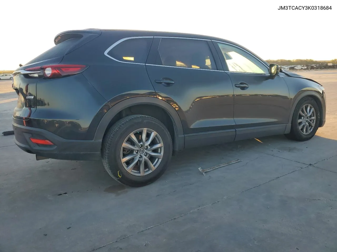 2019 Mazda Cx-9 Touring VIN: JM3TCACY3K0318684 Lot: 80394004