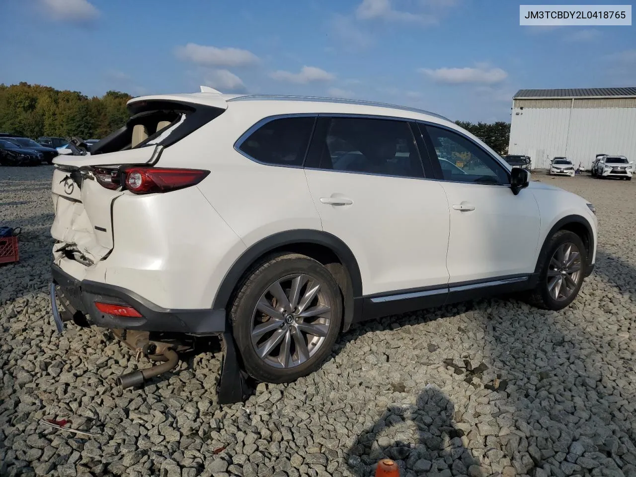 2020 Mazda Cx-9 Grand Touring VIN: JM3TCBDY2L0418765 Lot: 74810784