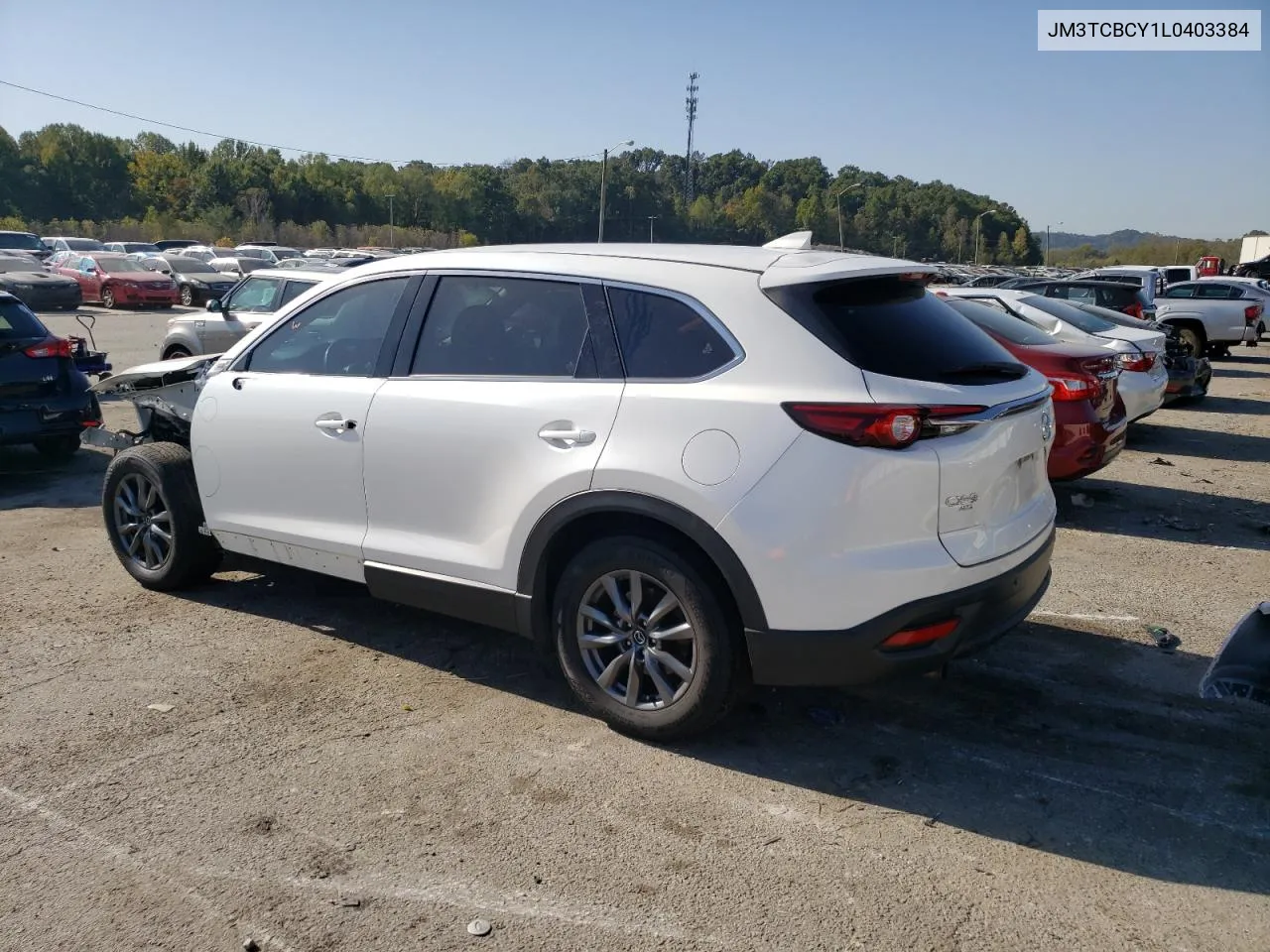 2020 Mazda Cx-9 Touring VIN: JM3TCBCY1L0403384 Lot: 75491054