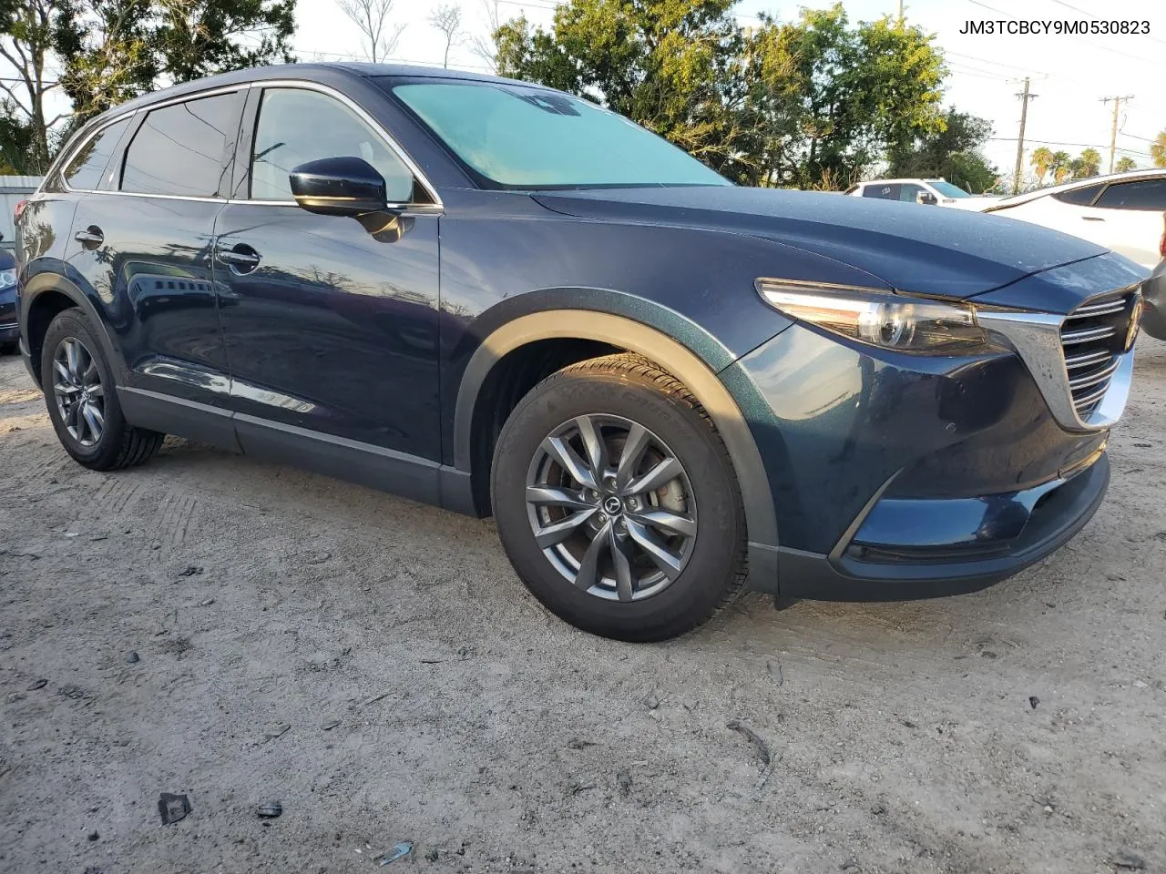 2021 Mazda Cx-9 Touring VIN: JM3TCBCY9M0530823 Lot: 70851424