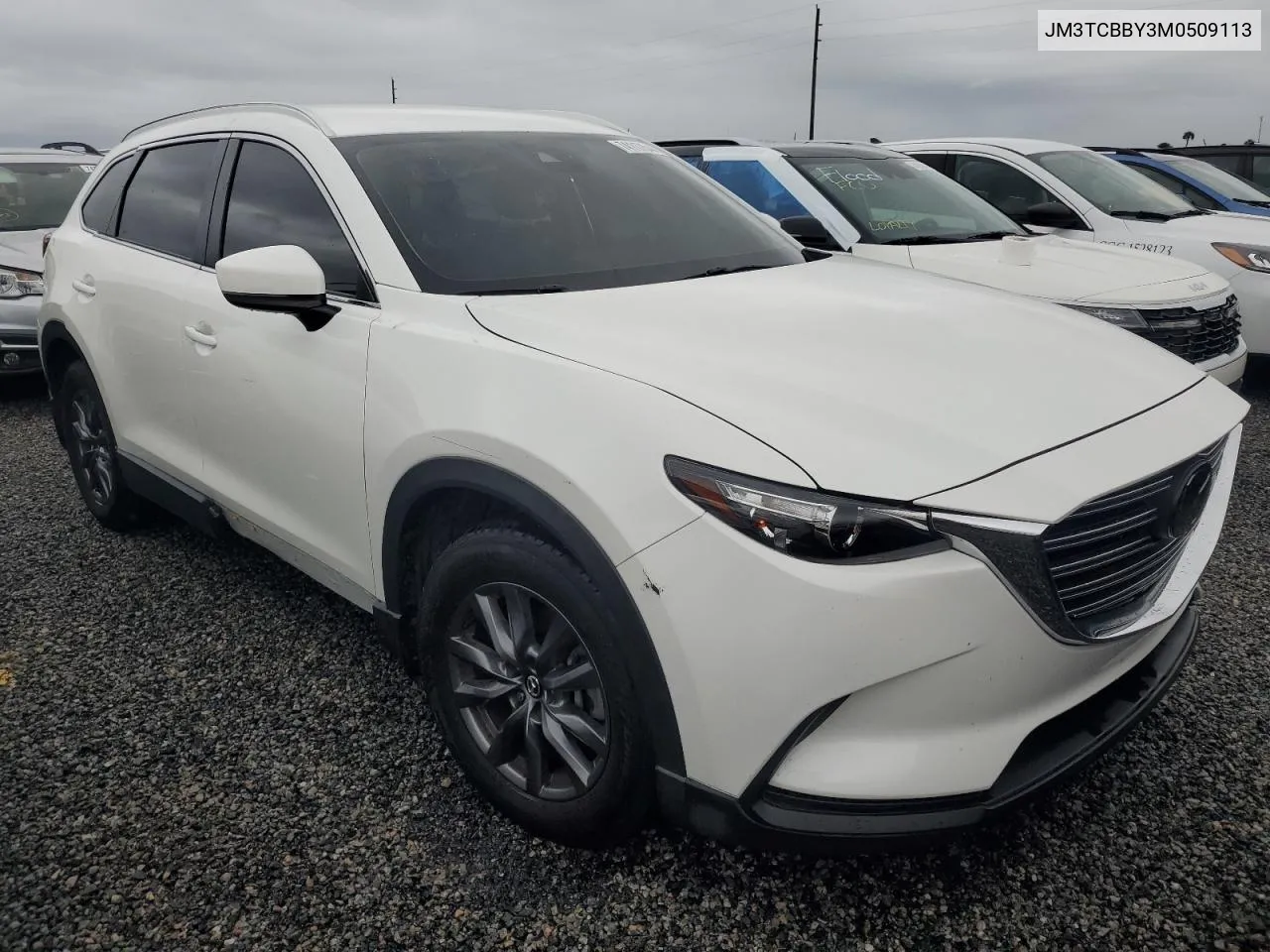 2021 Mazda Cx-9 Sport VIN: JM3TCBBY3M0509113 Lot: 74117544