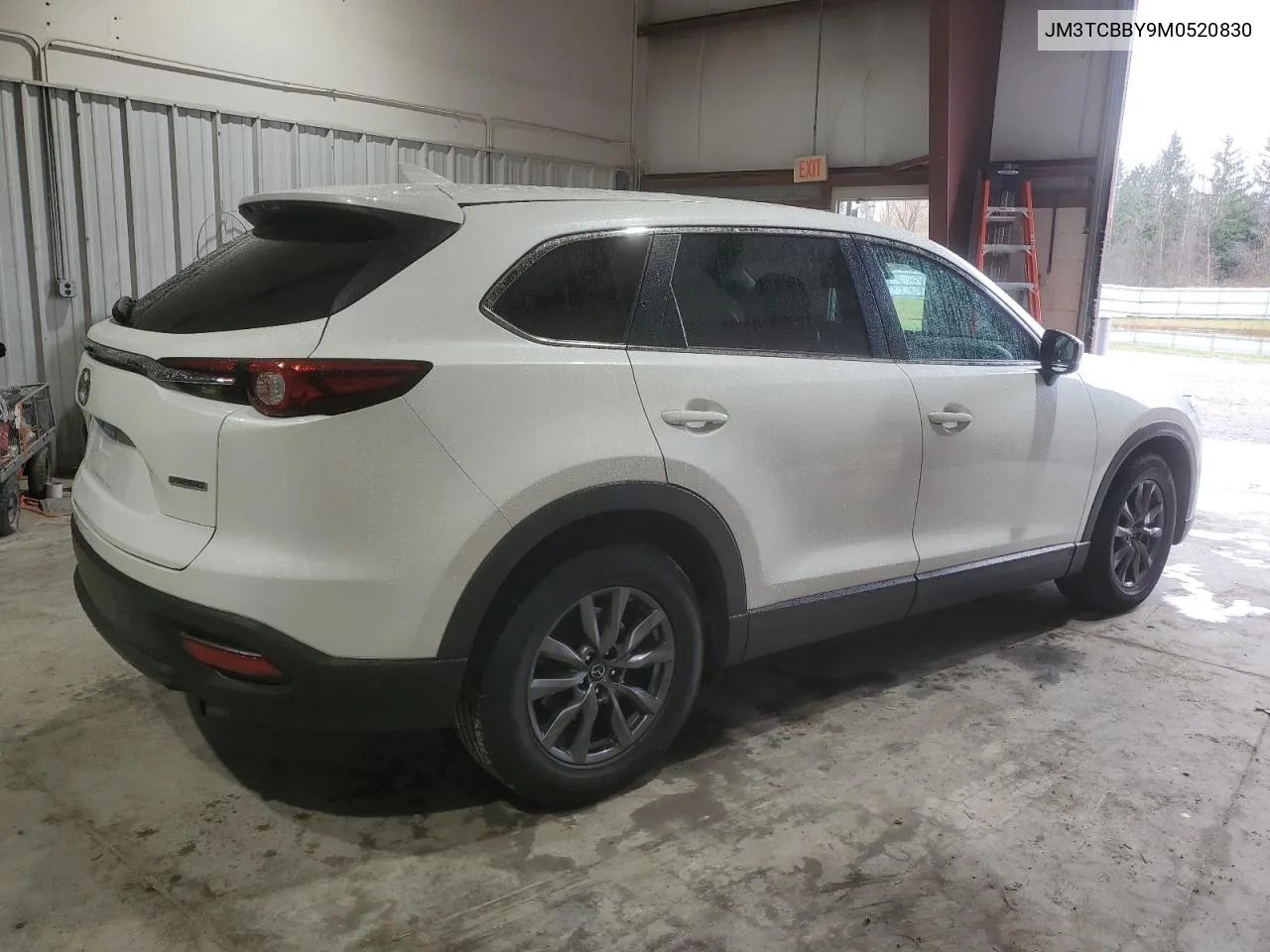 2021 Mazda Cx-9 Sport VIN: JM3TCBBY9M0520830 Lot: 79437754