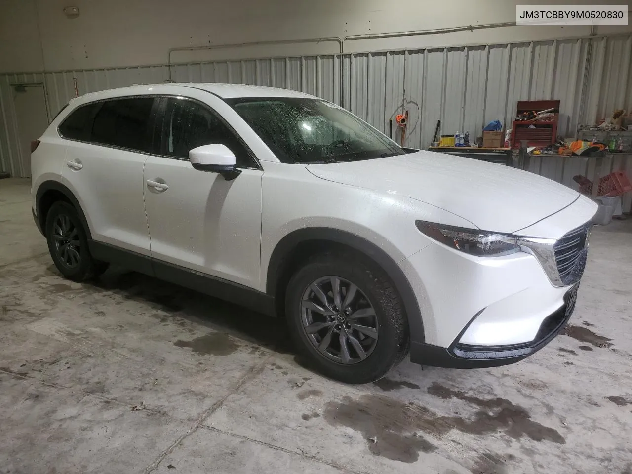 2021 Mazda Cx-9 Sport VIN: JM3TCBBY9M0520830 Lot: 79437754