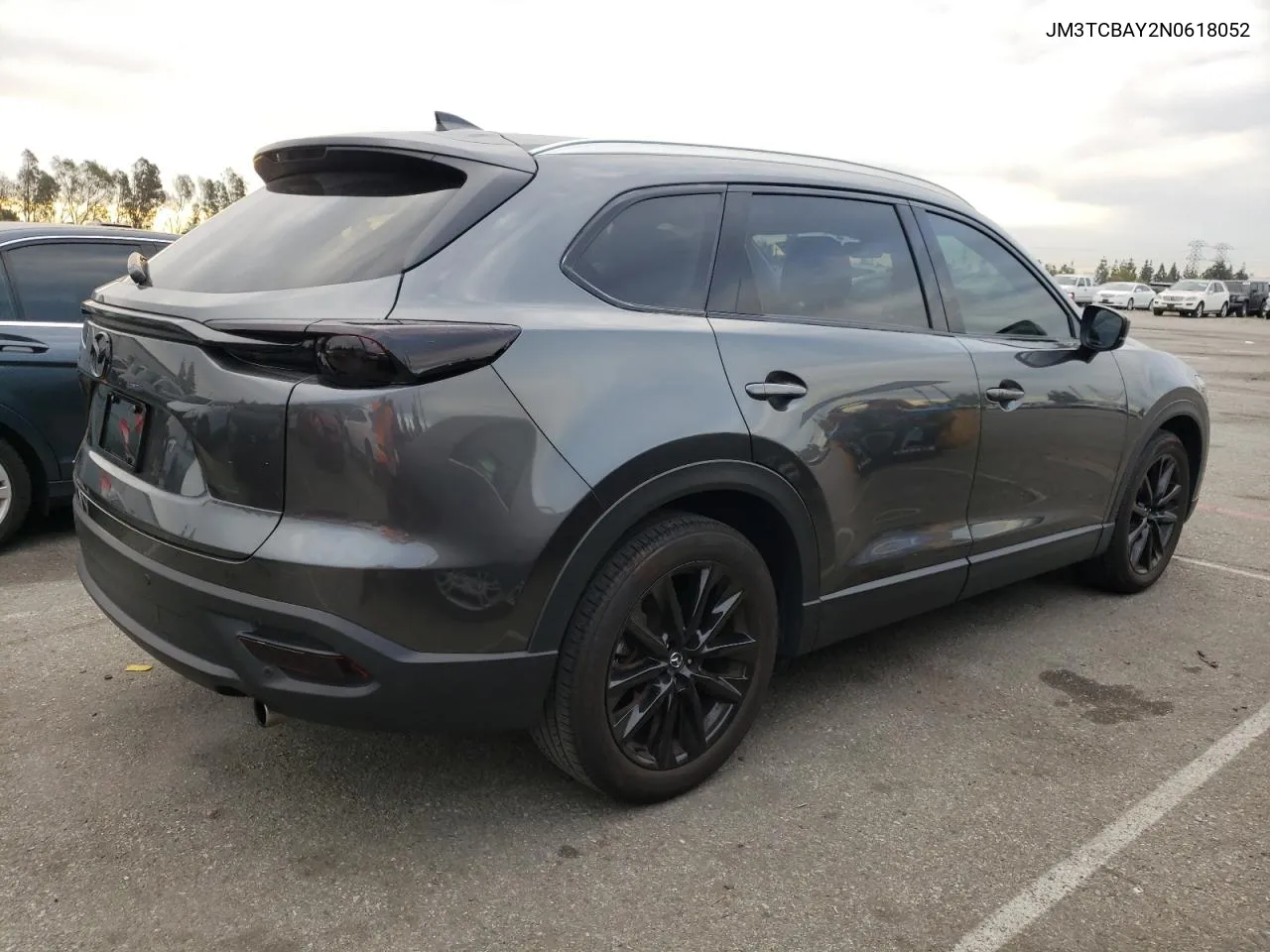 2022 Mazda Cx-9 Touring Plus VIN: JM3TCBAY2N0618052 Lot: 40419444