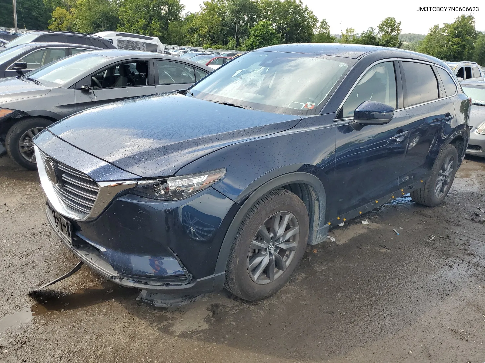 2022 Mazda Cx-9 Touring VIN: JM3TCBCY7N0606623 Lot: 66021984