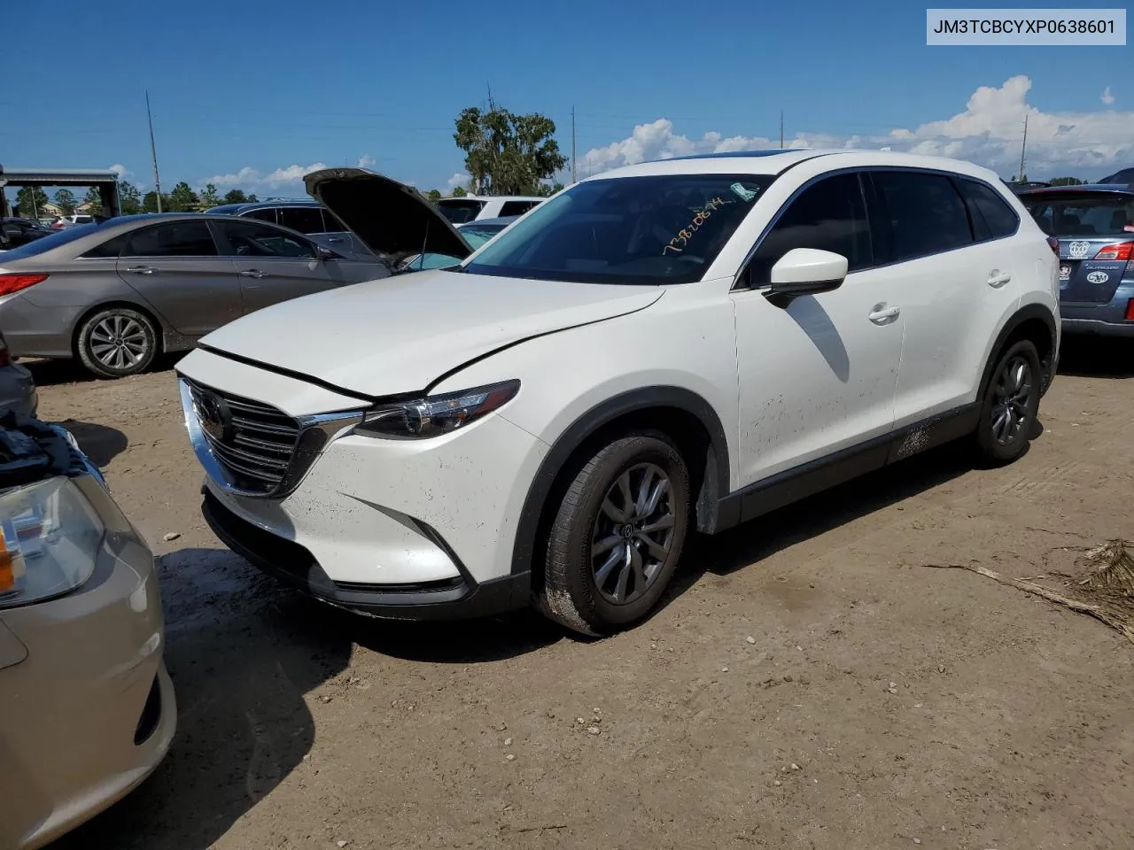 2023 Mazda Cx-9 Touring VIN: JM3TCBCYXP0638601 Lot: 73820874