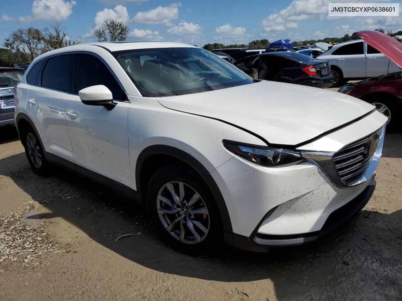 2023 Mazda Cx-9 Touring VIN: JM3TCBCYXP0638601 Lot: 73820874