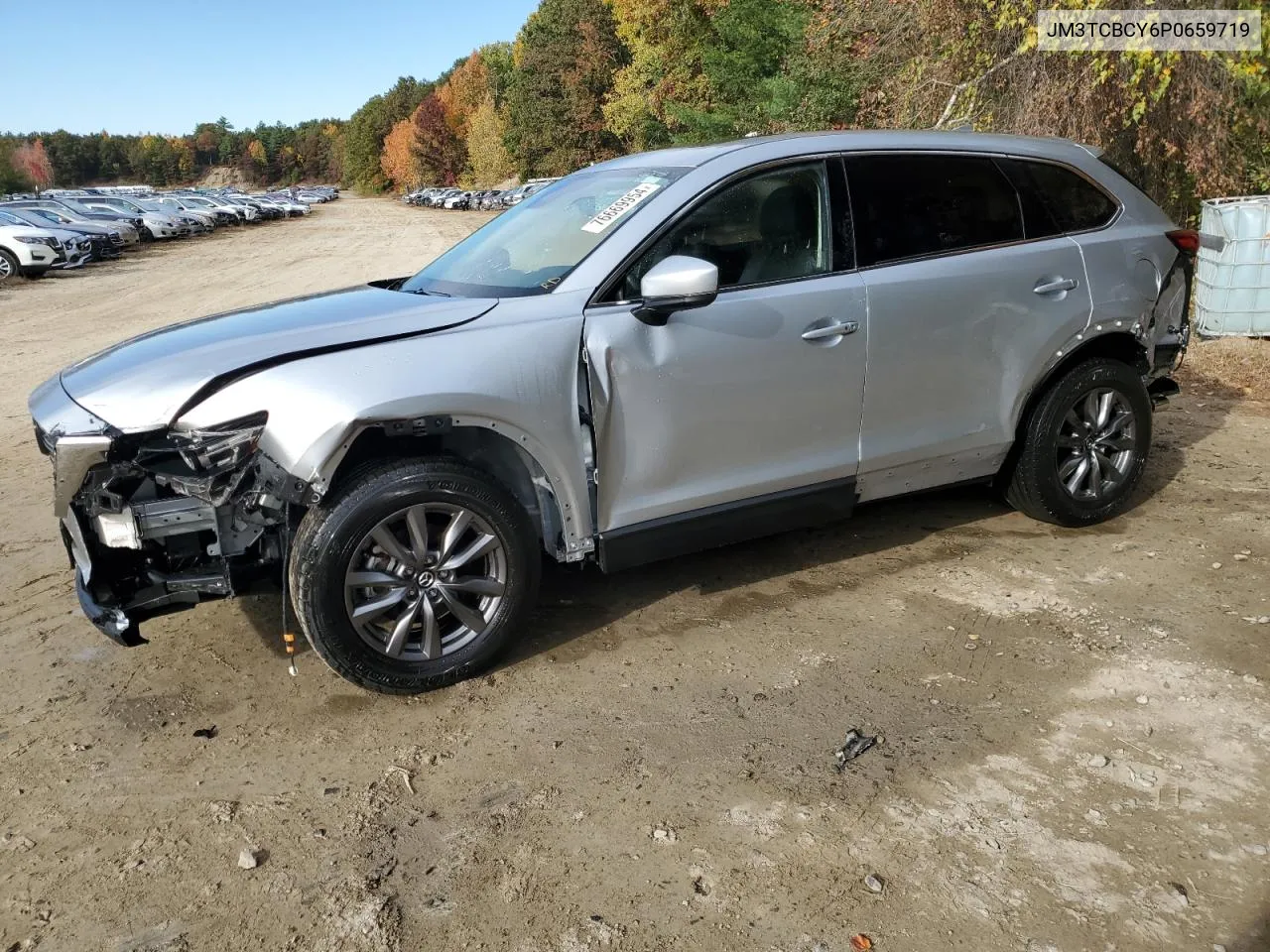 2023 Mazda Cx-9 Touring VIN: JM3TCBCY6P0659719 Lot: 76669954