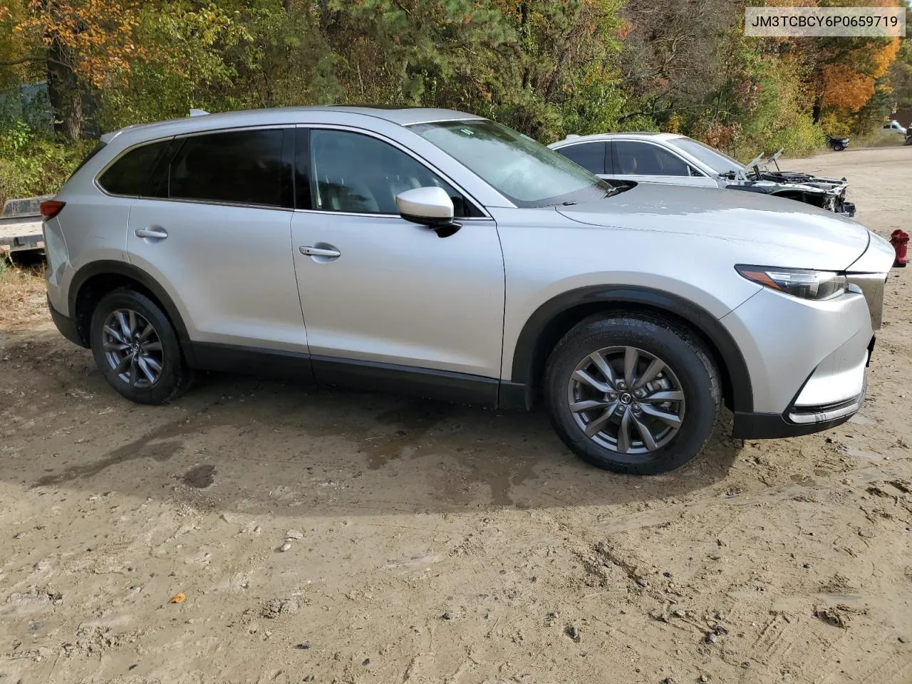 2023 Mazda Cx-9 Touring VIN: JM3TCBCY6P0659719 Lot: 76669954