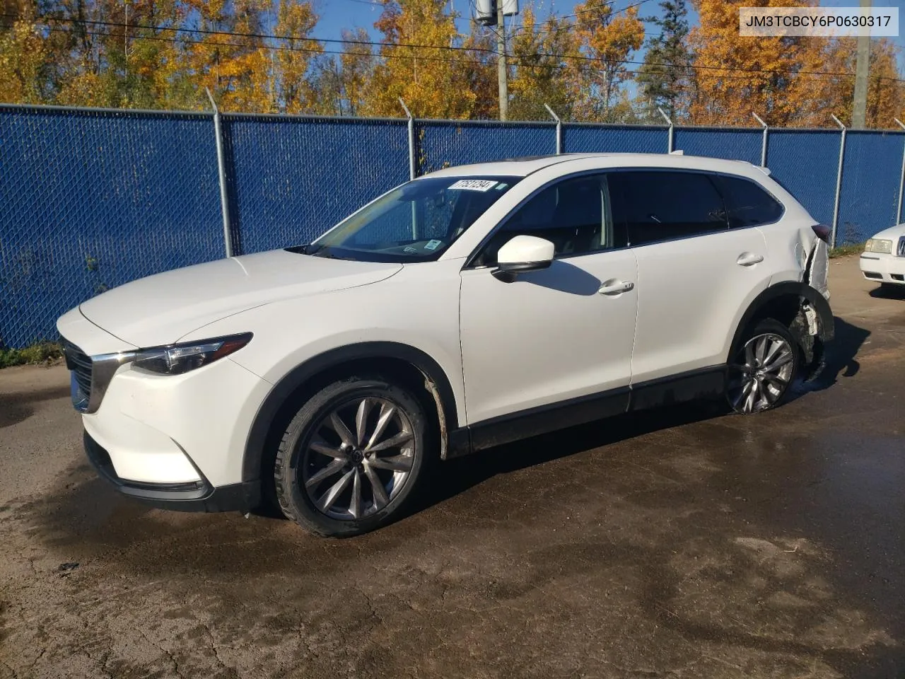 2023 Mazda Cx-9 Touring VIN: JM3TCBCY6P0630317 Lot: 77521294