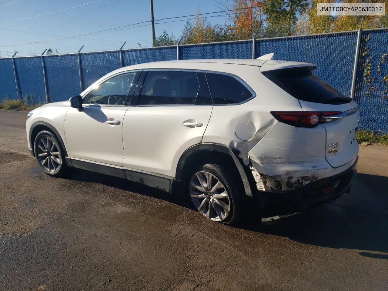 2023 Mazda Cx-9 Touring VIN: JM3TCBCY6P0630317 Lot: 77521294