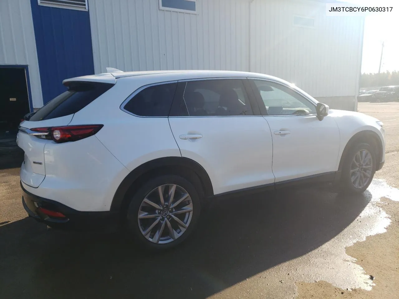 2023 Mazda Cx-9 Touring VIN: JM3TCBCY6P0630317 Lot: 77521294