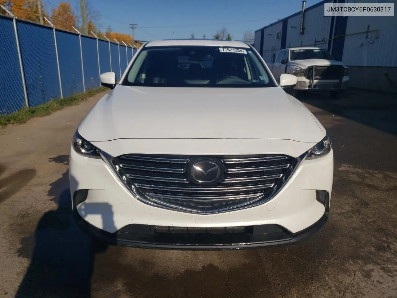 2023 Mazda Cx-9 Touring VIN: JM3TCBCY6P0630317 Lot: 77521294