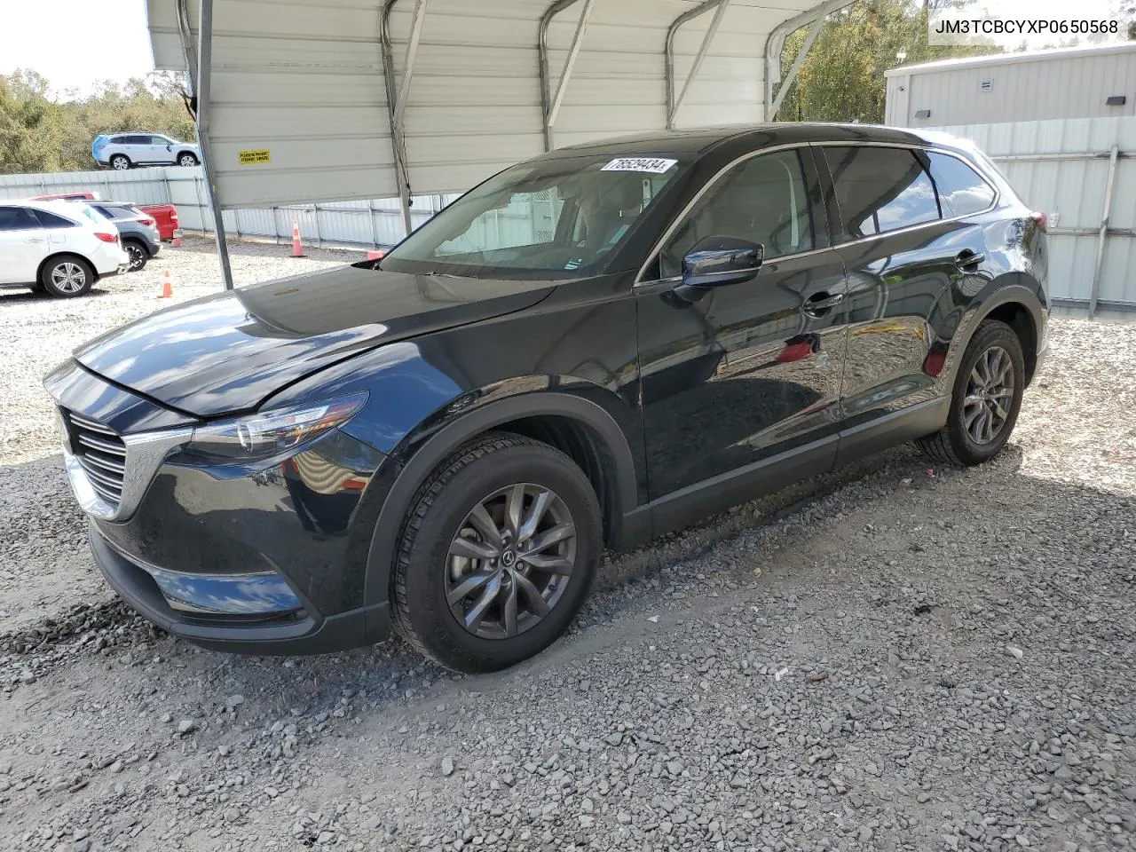 2023 Mazda Cx-9 Touring VIN: JM3TCBCYXP0650568 Lot: 78529434