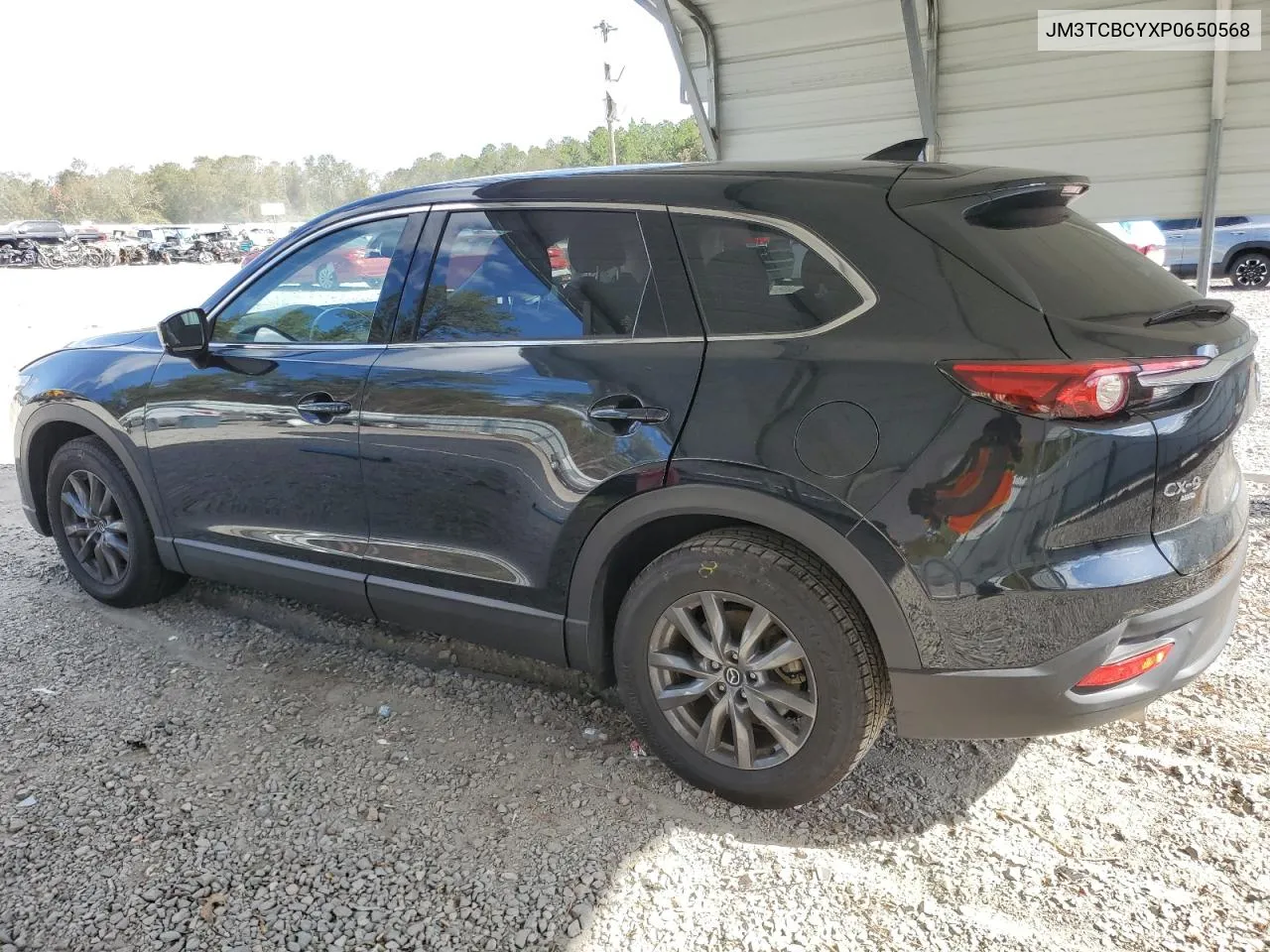 2023 Mazda Cx-9 Touring VIN: JM3TCBCYXP0650568 Lot: 78529434