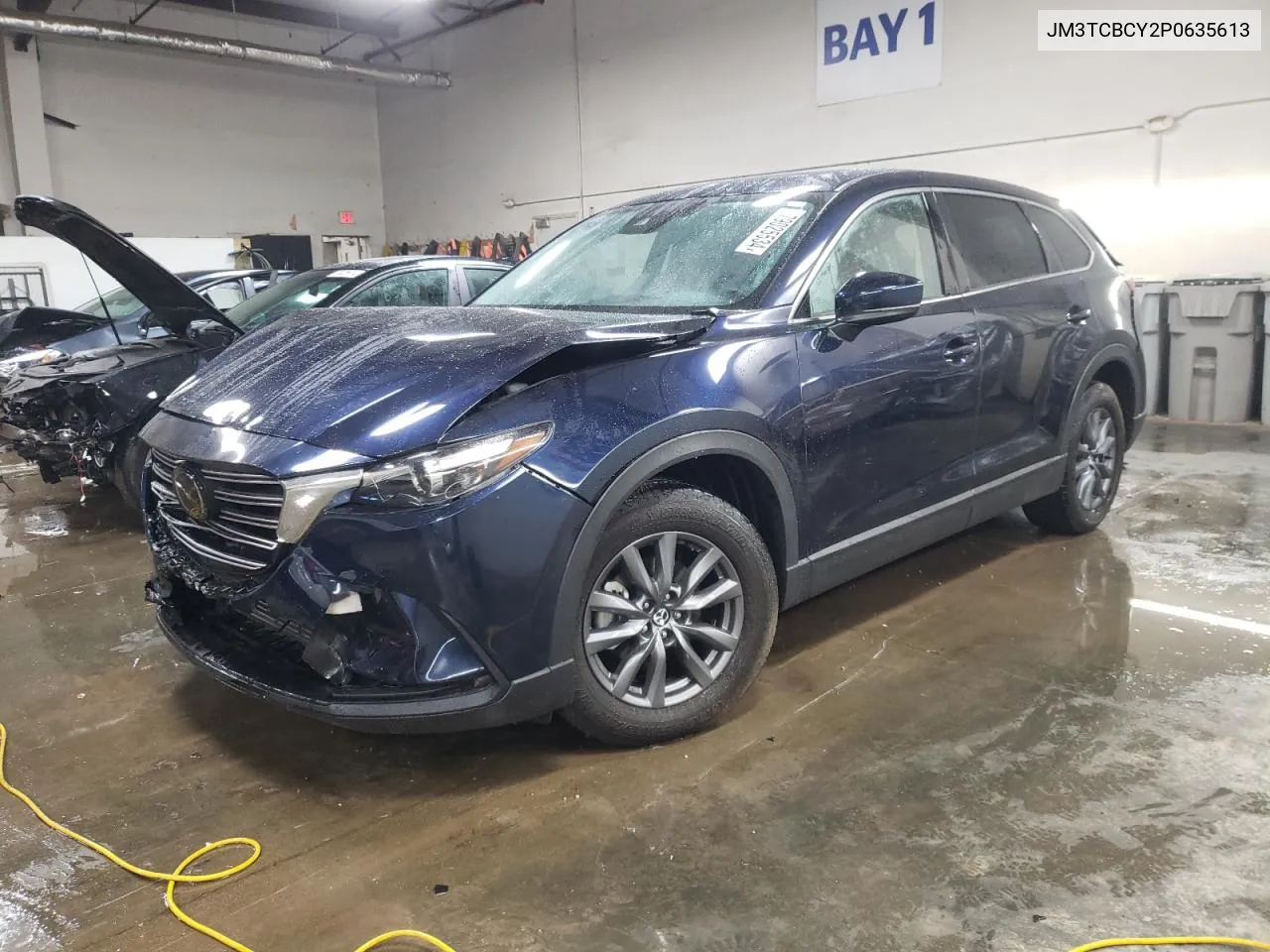 2023 Mazda Cx-9 Touring VIN: JM3TCBCY2P0635613 Lot: 79025534