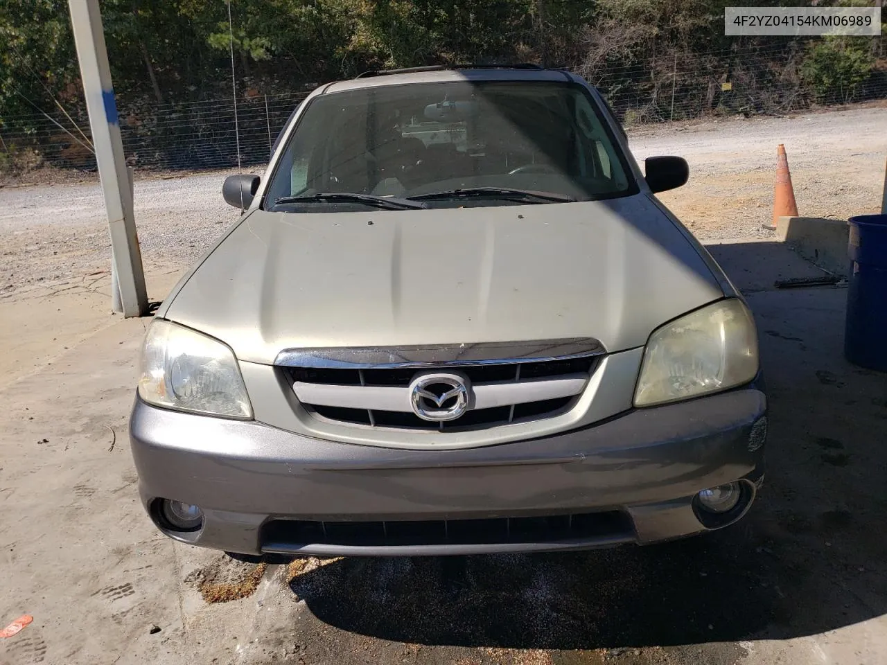 2004 Mazda Tribute Lx VIN: 4F2YZ04154KM06989 Lot: 76632904