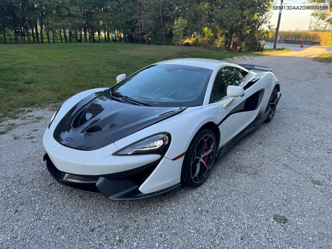 2016 Mclaren Automotive 570S VIN: SBM13DAA2GW000588 Lot: 81412784