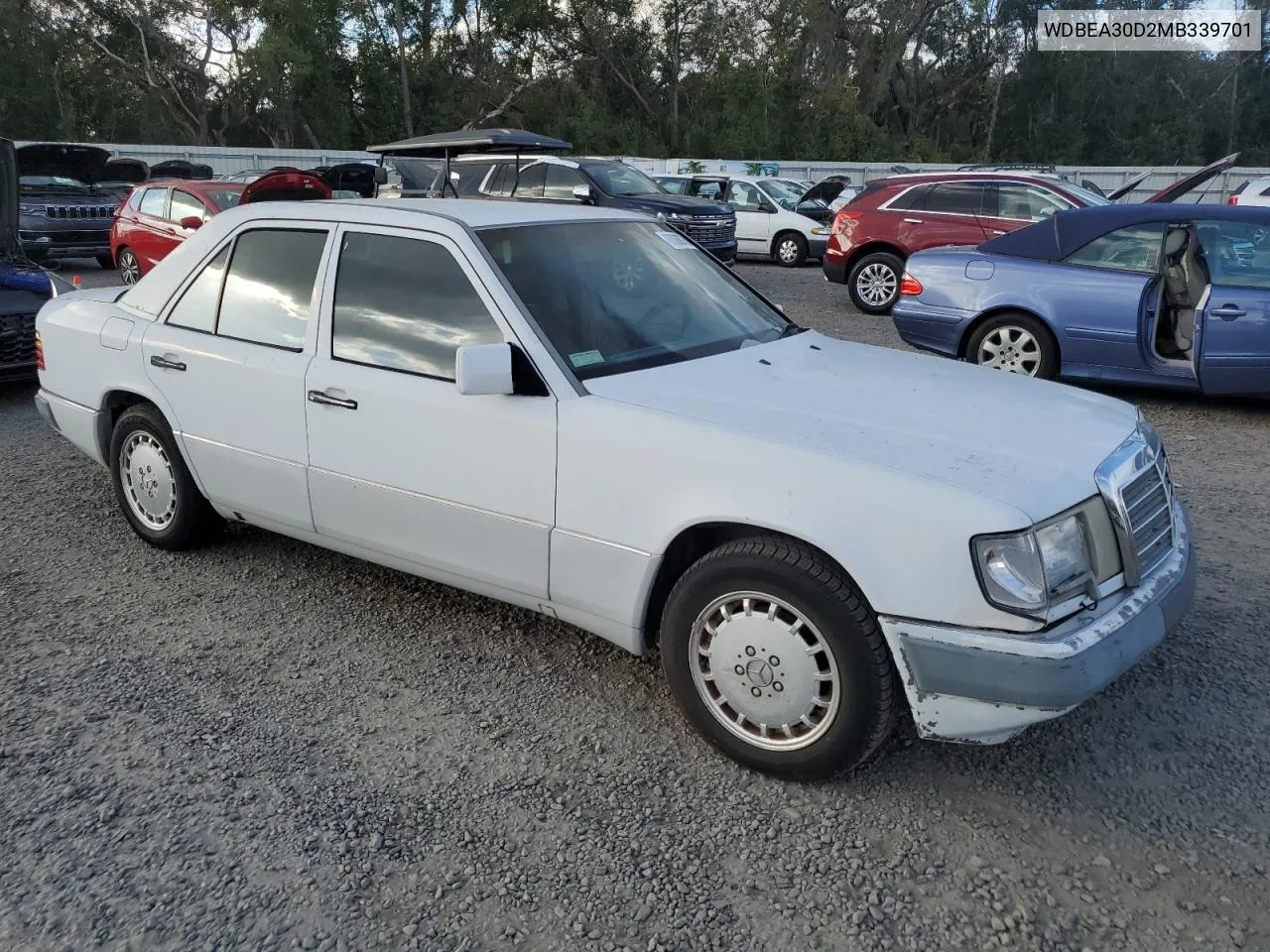 1991 Mercedes-Benz 300 E VIN: WDBEA30D2MB339701 Lot: 80088704