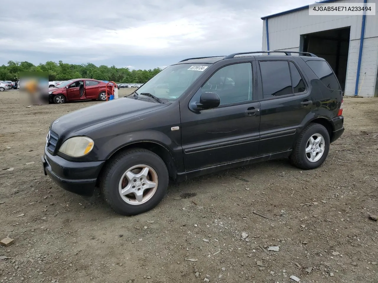 2001 Mercedes-Benz Ml 320 VIN: 4JGAB54E71A233494 Lot: 53799134