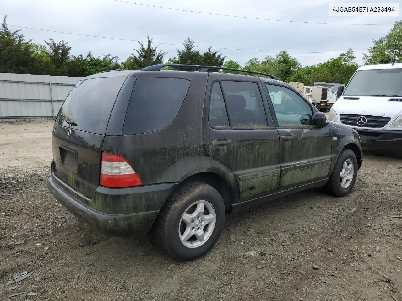 2001 Mercedes-Benz Ml 320 VIN: 4JGAB54E71A233494 Lot: 53799134