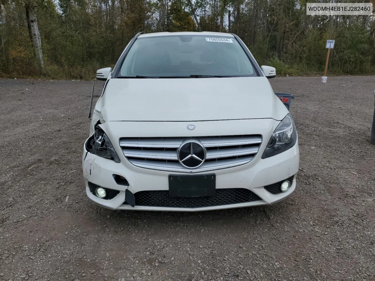 2014 Mercedes-Benz B250 VIN: WDDMH4EB1EJ282460 Lot: 75855534