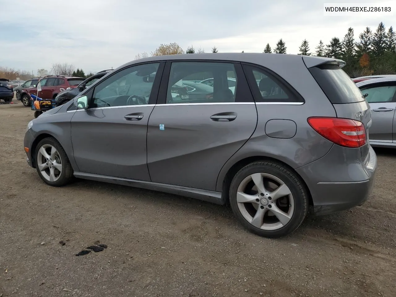 WDDMH4EBXEJ286183 2014 Mercedes-Benz B250