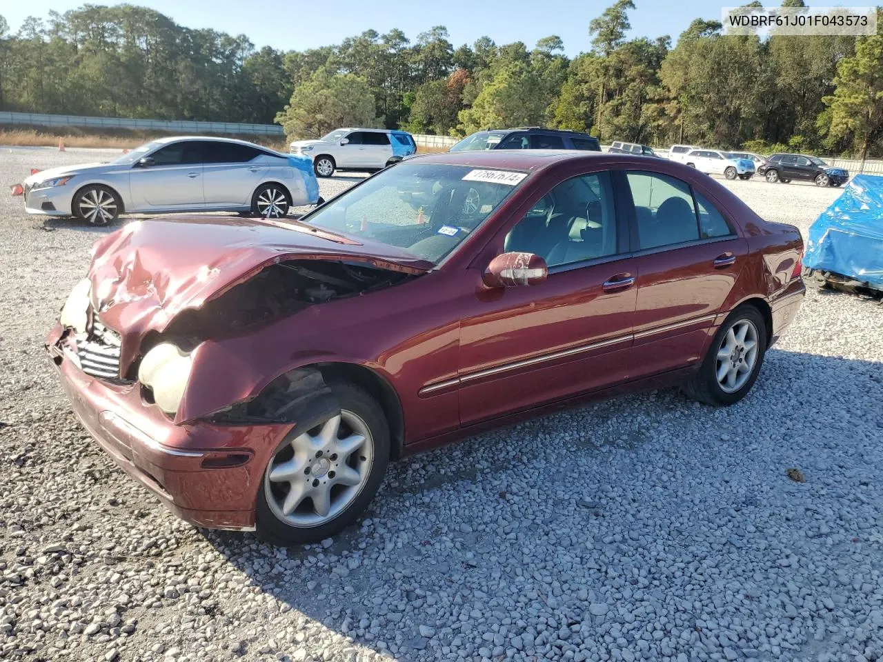 2001 Mercedes-Benz C 240 VIN: WDBRF61J01F043573 Lot: 77867674