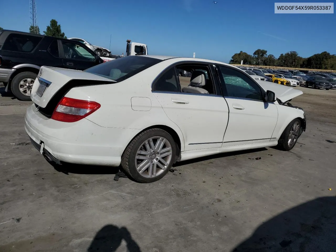 2009 Mercedes-Benz C 300 VIN: WDDGF54X59R053387 Lot: 57783564