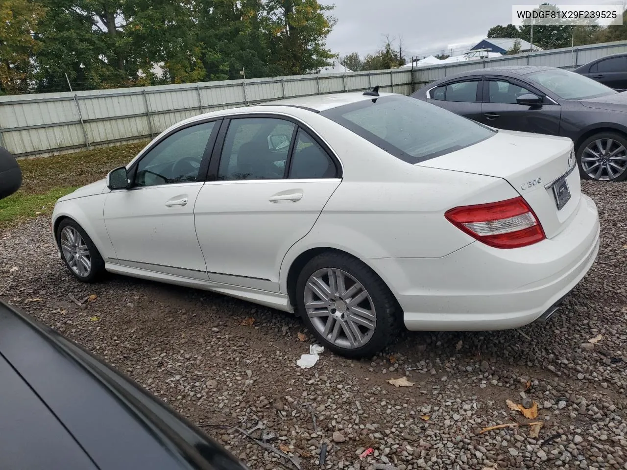 2009 Mercedes-Benz C 300 4Matic VIN: WDDGF81X29F239525 Lot: 74089474