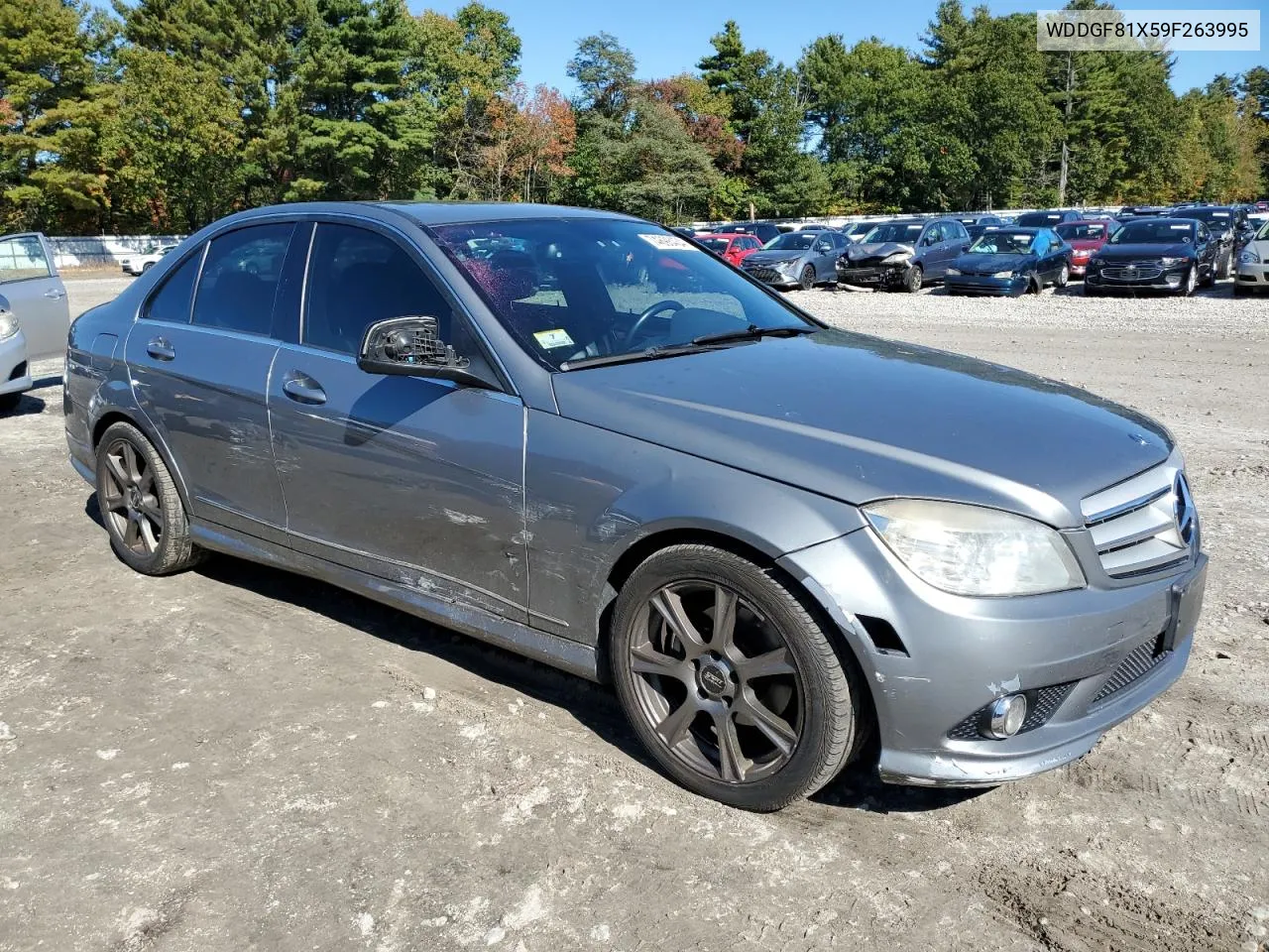 2009 Mercedes-Benz C 300 4Matic VIN: WDDGF81X59F263995 Lot: 74698434