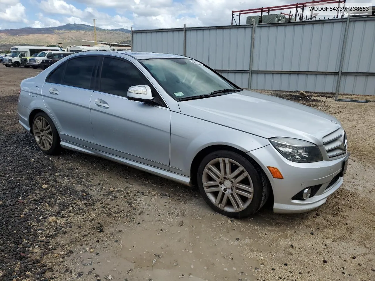 2009 Mercedes-Benz C 300 VIN: WDDGF54X39F238653 Lot: 75458594