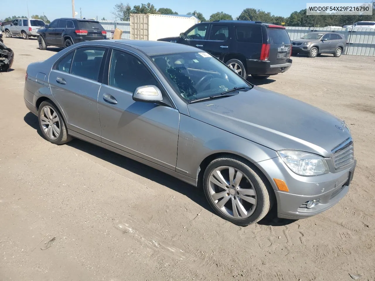 2009 Mercedes-Benz C 300 VIN: WDDGF54X29F216790 Lot: 76897374