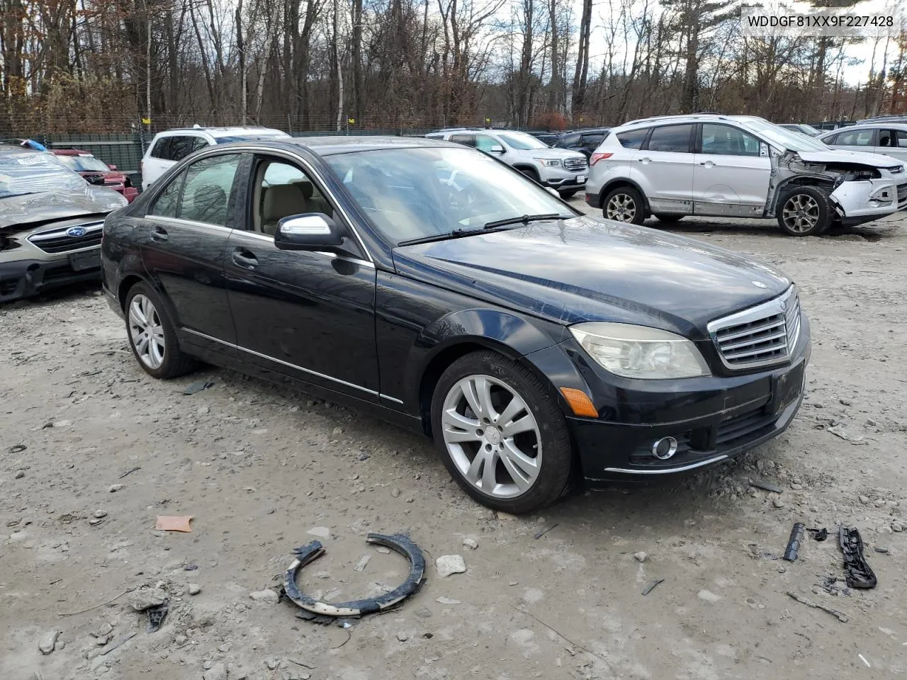 2009 Mercedes-Benz C 300 4Matic VIN: WDDGF81XX9F227428 Lot: 79663784