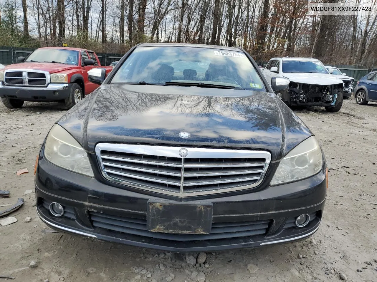 2009 Mercedes-Benz C 300 4Matic VIN: WDDGF81XX9F227428 Lot: 79663784