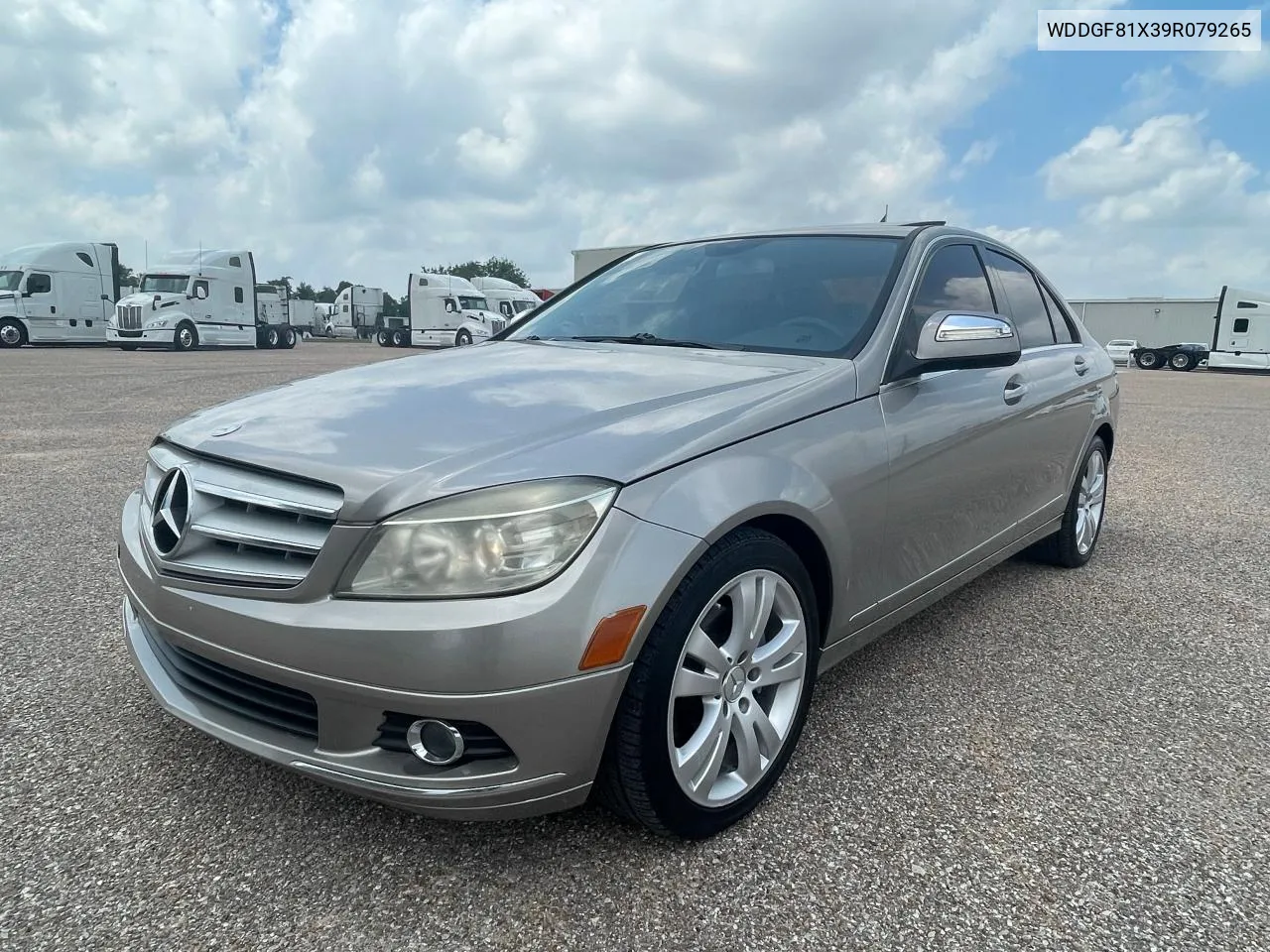 2009 Mercedes-Benz C 300 4Matic VIN: WDDGF81X39R079265 Lot: 80353814