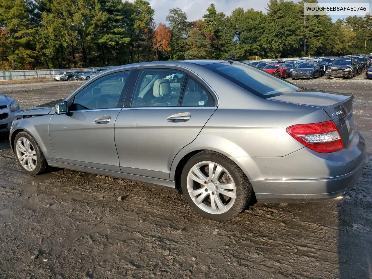 2010 Mercedes-Benz C 300 VIN: WDDGF5EB8AF450746 Lot: 74896784