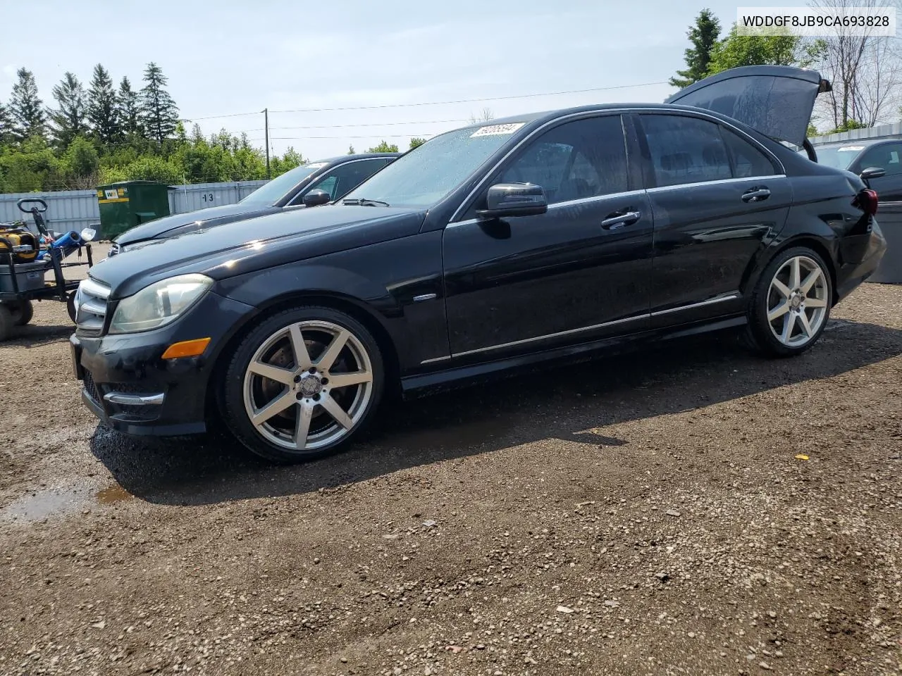 2012 Mercedes-Benz C 350 4Matic VIN: WDDGF8JB9CA693828 Lot: 59205594